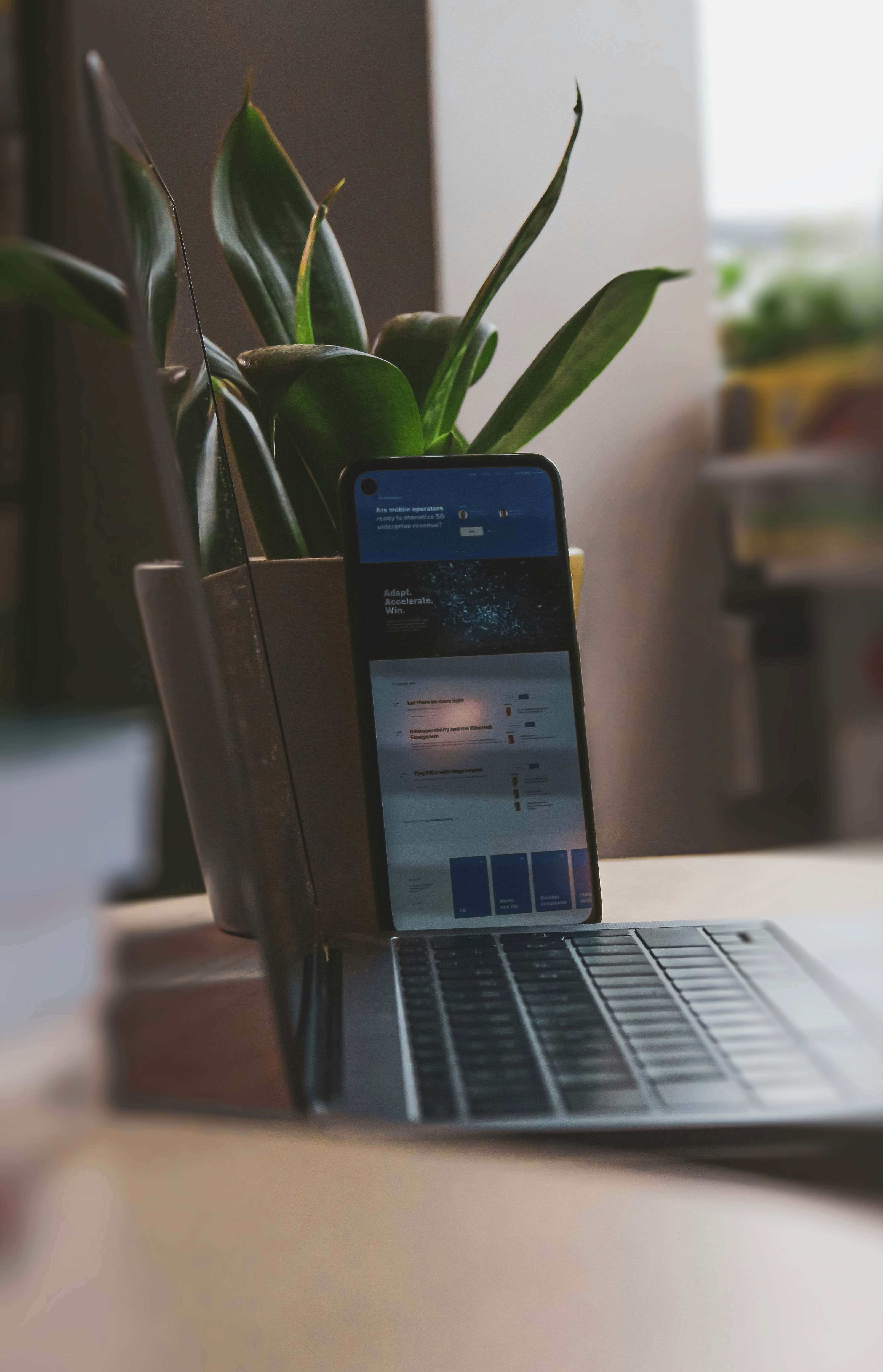 Mobile App Development